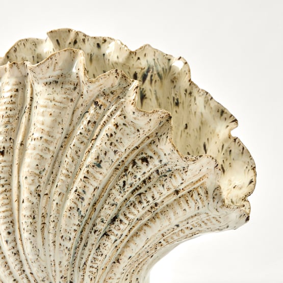 Clam Shell White Textured Sculpture