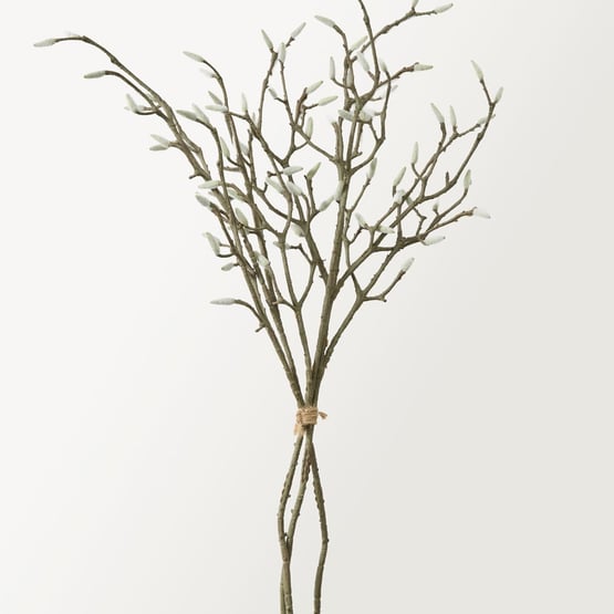 Willow Natural Stem Bunch