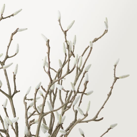 Willow Natural Stem Bunch