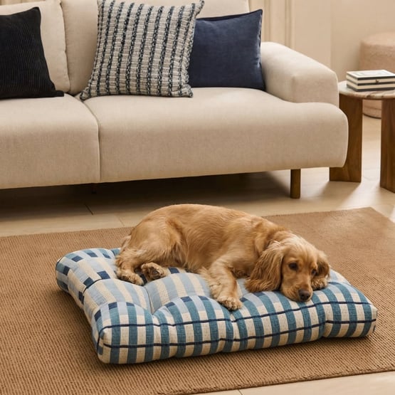 Orson Lagoon Pet Bed