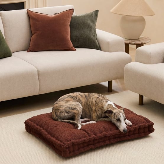 Oasis Cinnamon Pet Bed Cushion