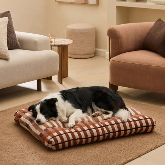 Orson Chocolate Pet Bed
