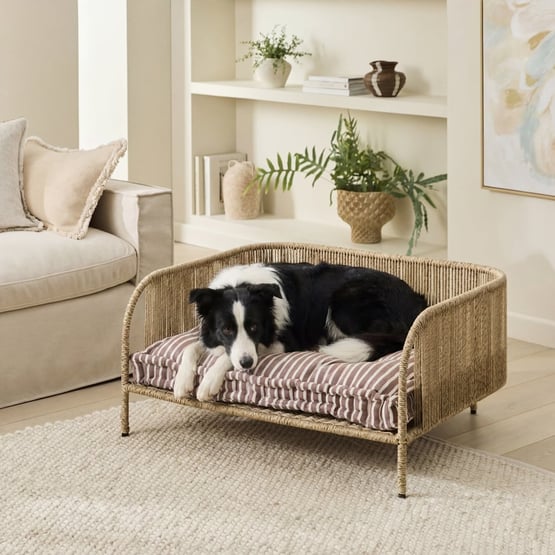 Oasis Tommy Coffee Pet Bed Cushion