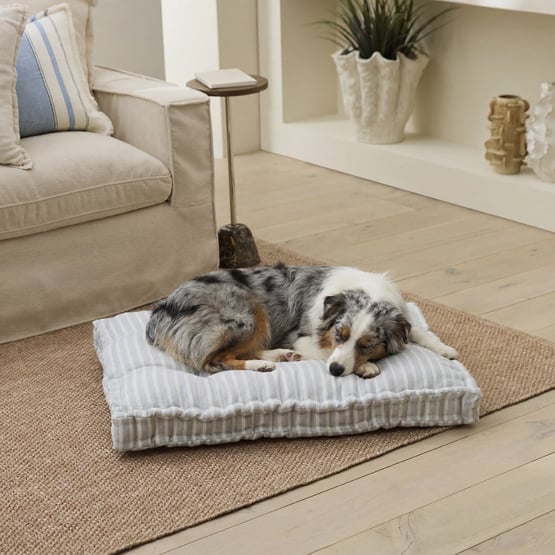Oasis Tommy Blue Pet Bed Cushion