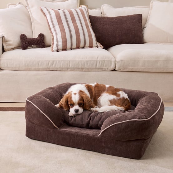 Adeline Chocolate Pet Bed