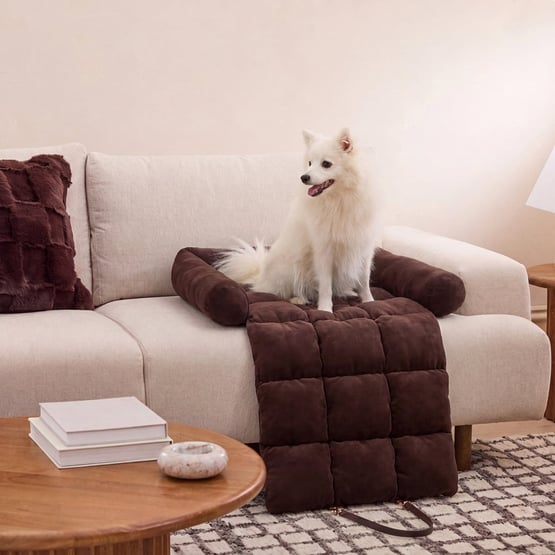 Marshmallow Chocolate Fold-Out Pet Bed