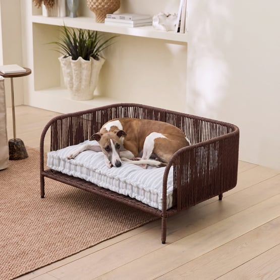 Sunny Chocolate Pet Bed