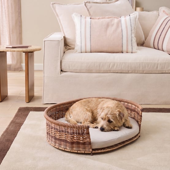 Quinn Mocha Small Pet Bed