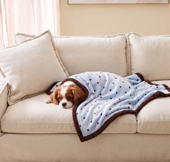 Maisy Coast Polka Dot Pet Blanket