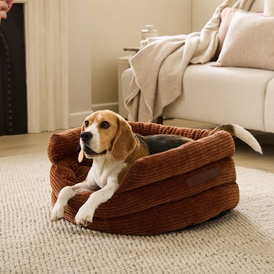Ziggy Rosedale Rust Pet Bed
