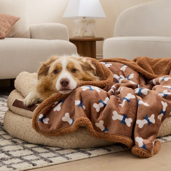 Maisy Bow Tie Pet Blanket