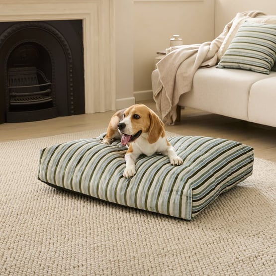 Etro Stripe Seaspray Velvet Pet Bed