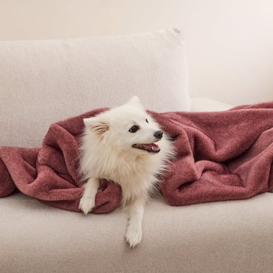 Zurich Mulberry Recycled Fur Pet Blanket