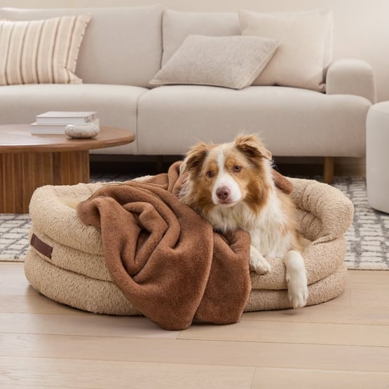 Zurich Pecan Recycled Fur Pet Blanket