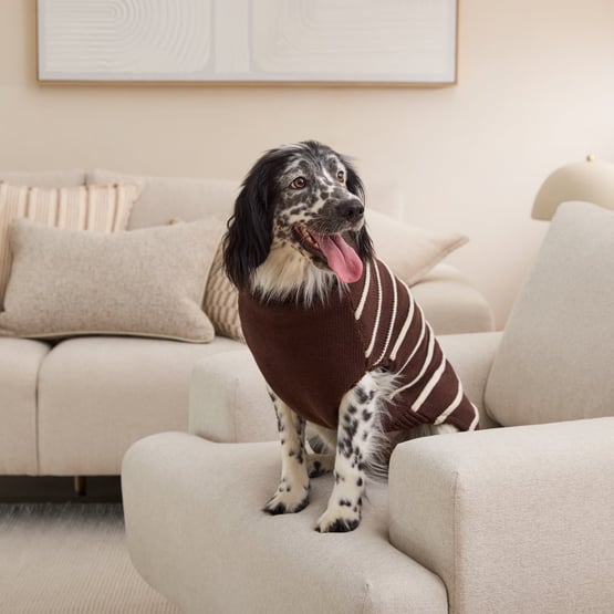 Knitted Chocolate Stripe Pet Jumper
