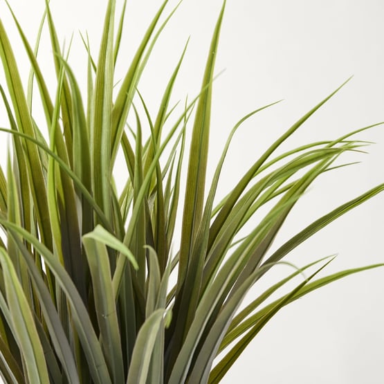 Reed Grass in Brown Helena Vase
