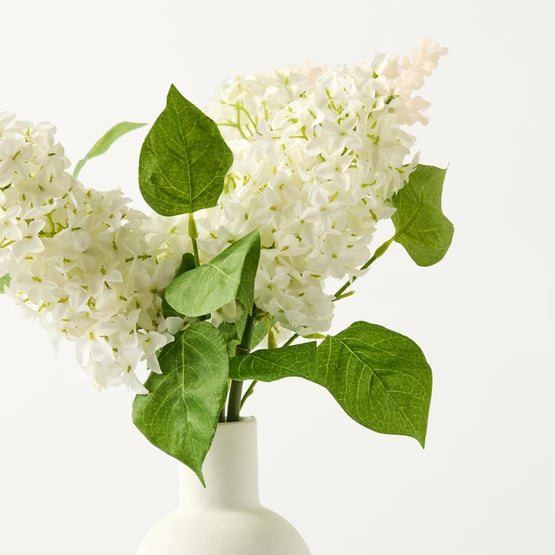 Hydrangea in White Isola Vase
