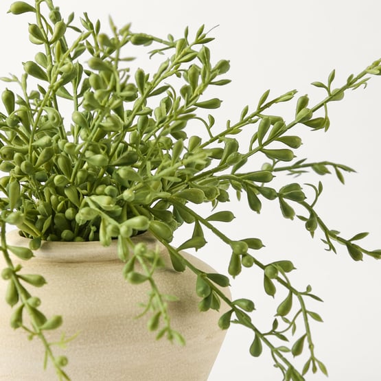 Bean Leaves in Natural Odette Vase