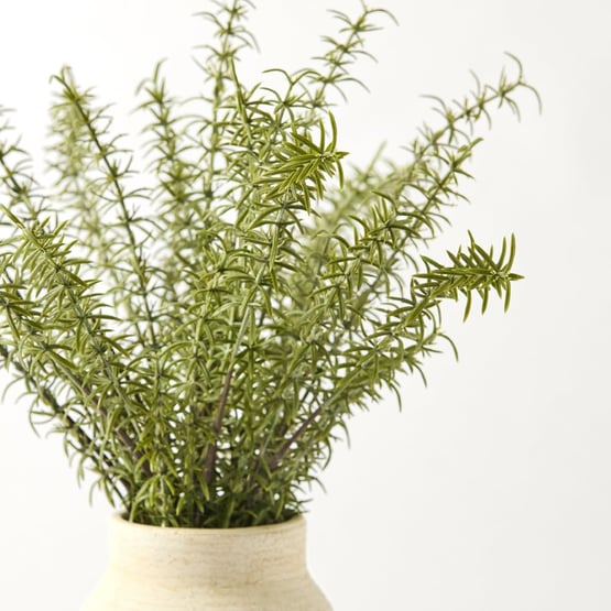 Rosemary in Natural Selena Vase
