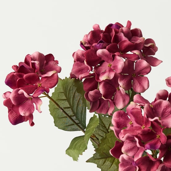 Hydrangea Cerise Pink Stem