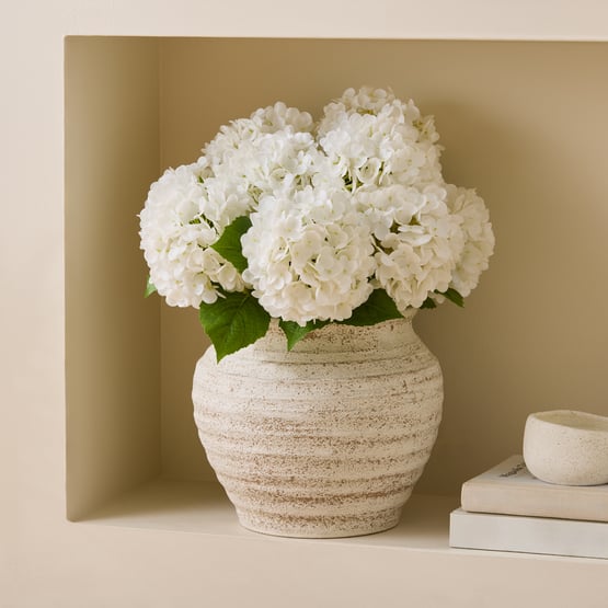 Hydrangea in Alexa Natural Pot