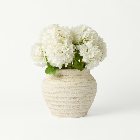 Hydrangea in Alexa Natural Pot