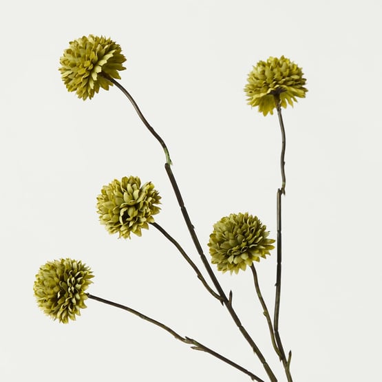 Pom Pom Green Spray Set of 3