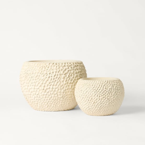 Panama White Pot