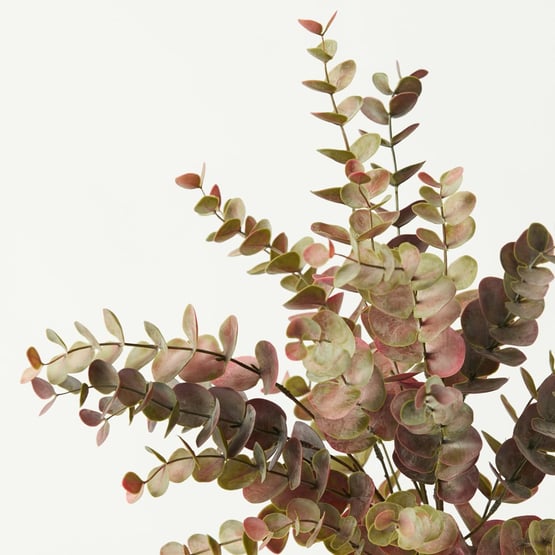 Eucalyptus Green & Red Spray Set of 3