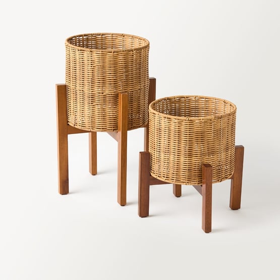 Arizona Natural Plant Stand