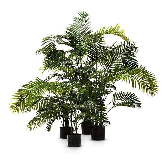 Areca Palm Potted Plant 190cm