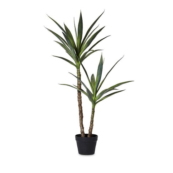 Heneken Potted Plant 110cm