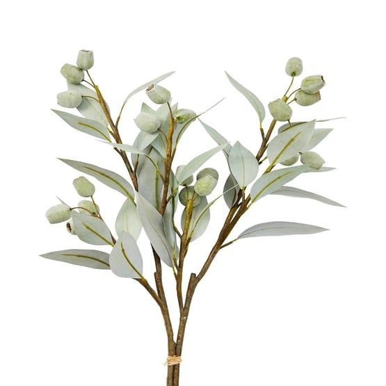 Botanical Silver Green Gum Nuts Stem