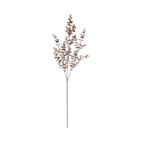 Winter Brown Eucalyptus Stem