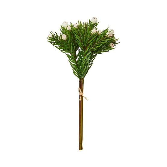 Native Stem Pink Mini Protea 