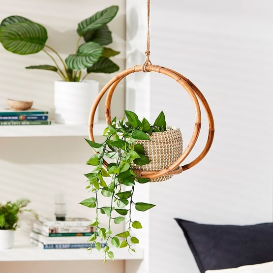 Airlie Hanging Circle Plant Stand Arch