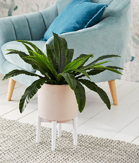 Vegas Pink Pot Planter in white, displaying a green plant inside. Blue one seater couch in the background against white floorboards and carpet
