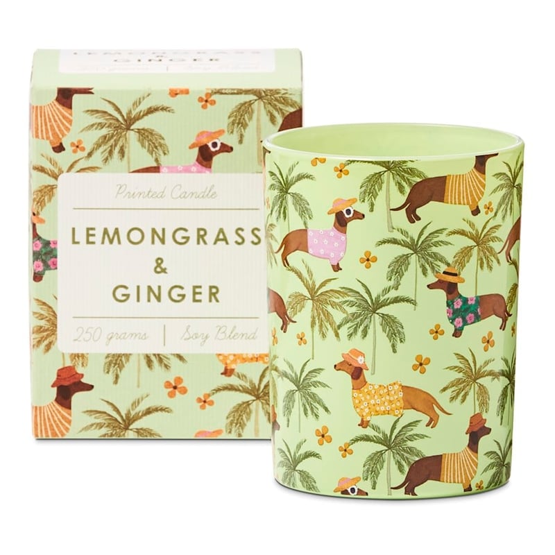 Printed Dachshunds Lemongrass & Ginger Candle 250g