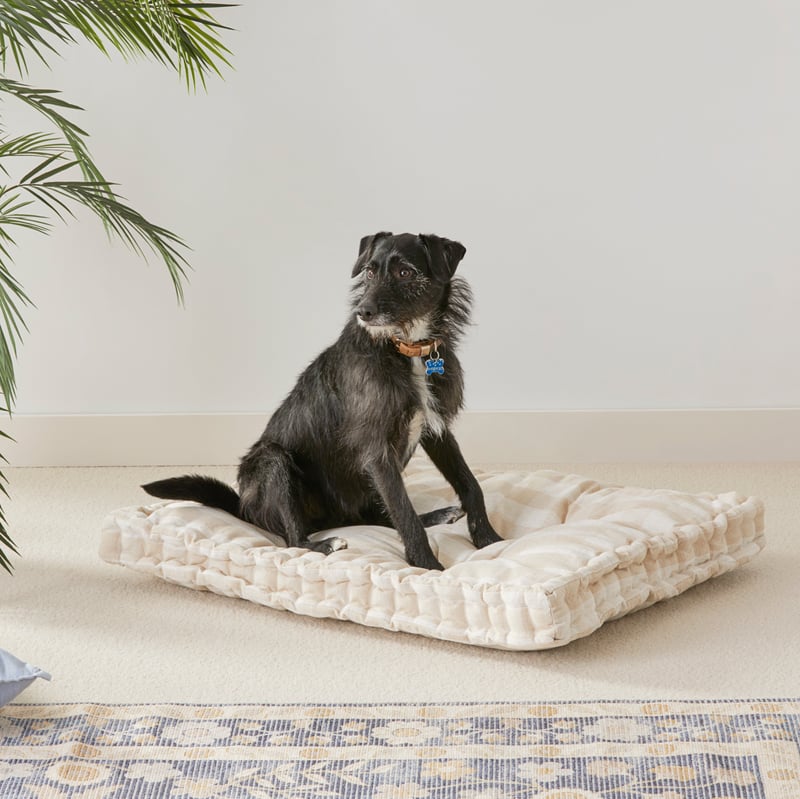 Oasis Natural Check Pet Bed Cushion