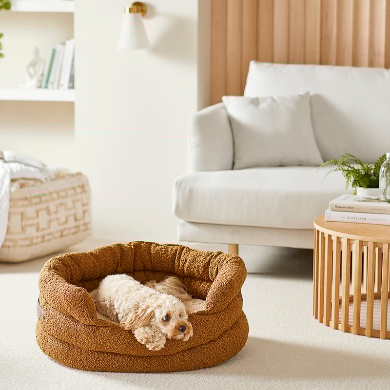Ziggy Cedar Boucle Pet Bed