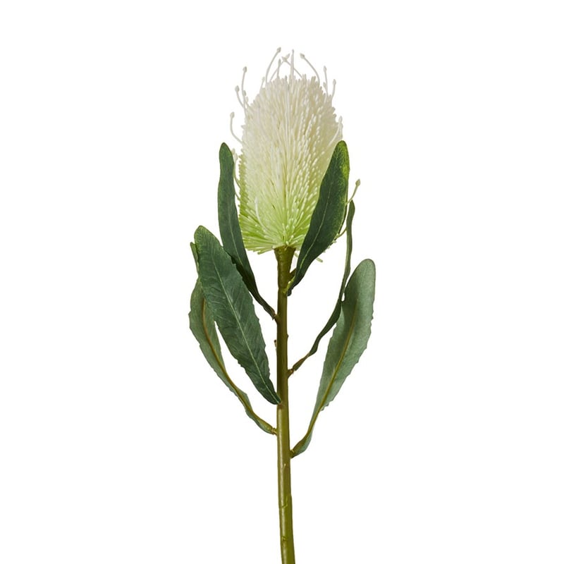 Spring Stems Banksia 65cm White