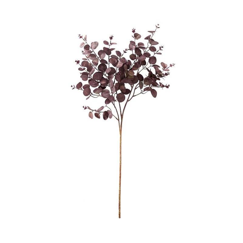 Native Stem Purple Eucalyptus