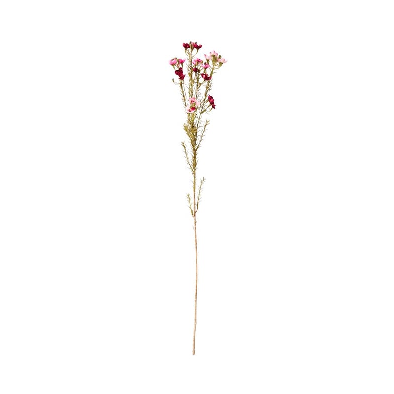 Native Stem Purple Budelia Spray