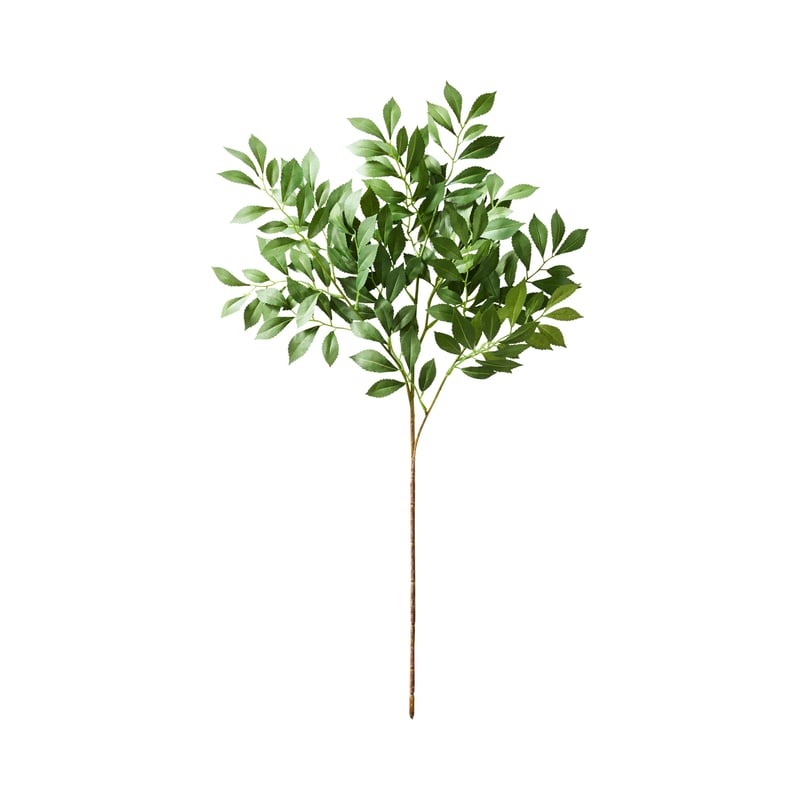 Winter Autumn Leaves Green Stem