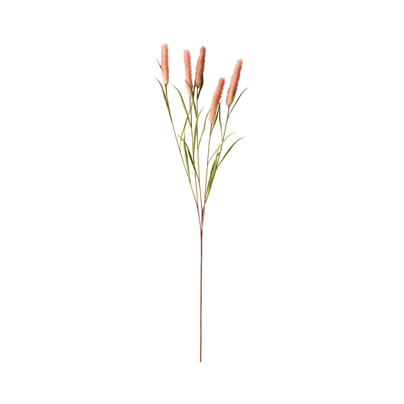 Winter Swinging Grass Rust Stem