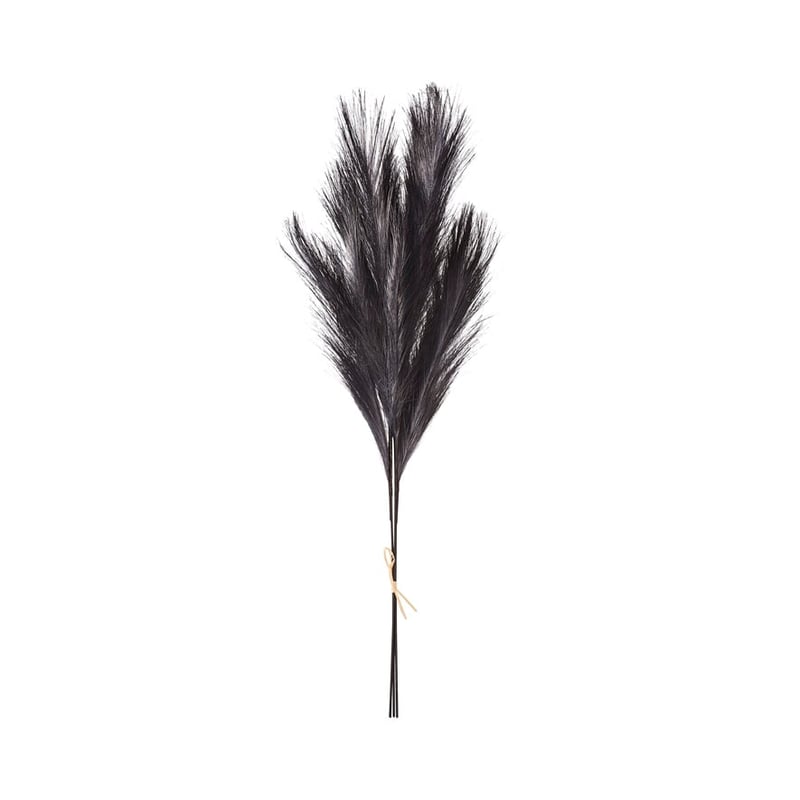 Feather Pampass Black Grass Stem