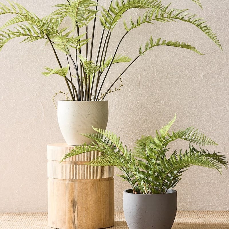 Belgrave Green Standing Potted Plant