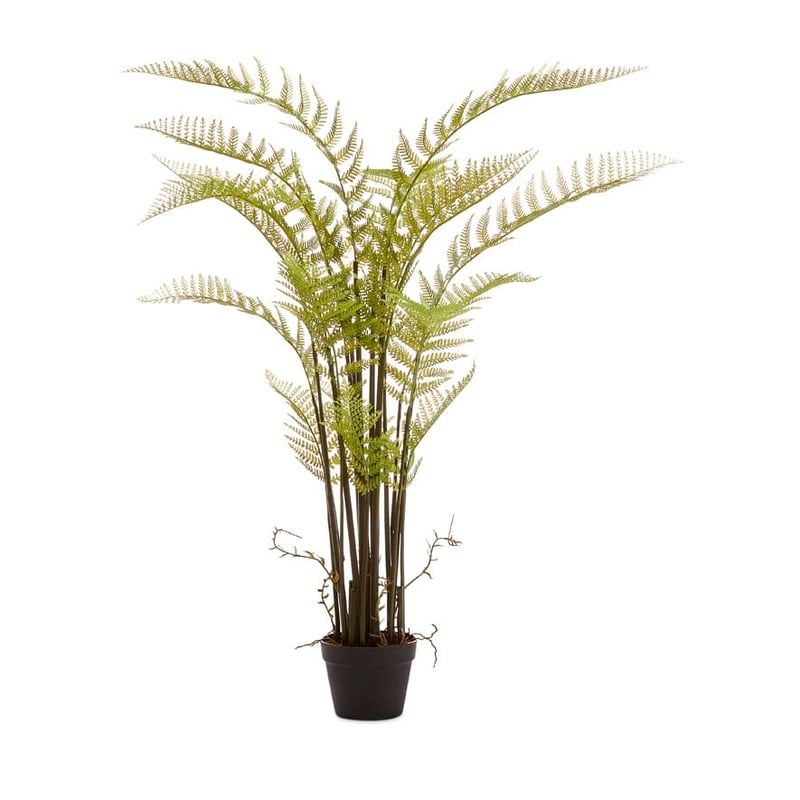 Belgrave Green Standing Potted Plant