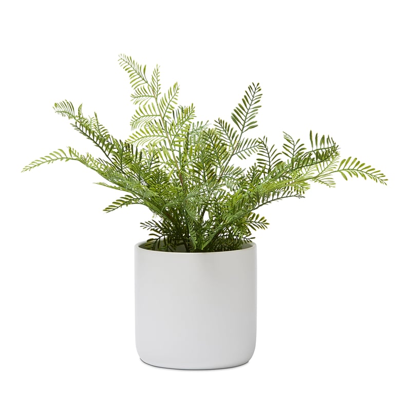 Milton Green & White Potted Fern