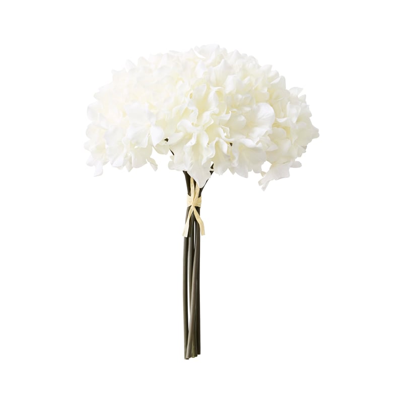 Hydrangea White Stem